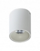 Mynd af Remo White
