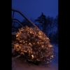 Mynd af LIGHT CHAIN EXTRA SYSTEM 24 - 49LED 5M