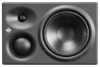 Mynd af Neumann KH310A