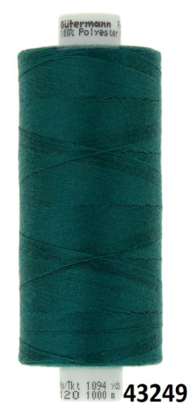 Mynd af W43249/1000