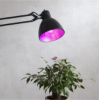 Mynd af LED LAMP E27 A60 PLANT LIGHT