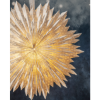 Mynd af Star cloud stjarna í glugga 60 cm.