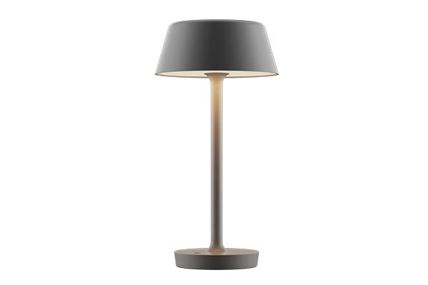 Mynd af Companion T2