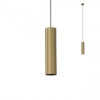 Mynd af Delphi 30 gyllt