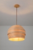 Mynd af Saturn hangandi ljós