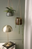 Mynd af Bonnet Borðlampi Brushed Gold