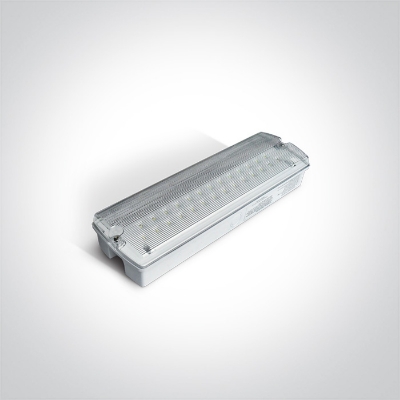 Mynd af LED neyðarljós fyrir vegg og loft